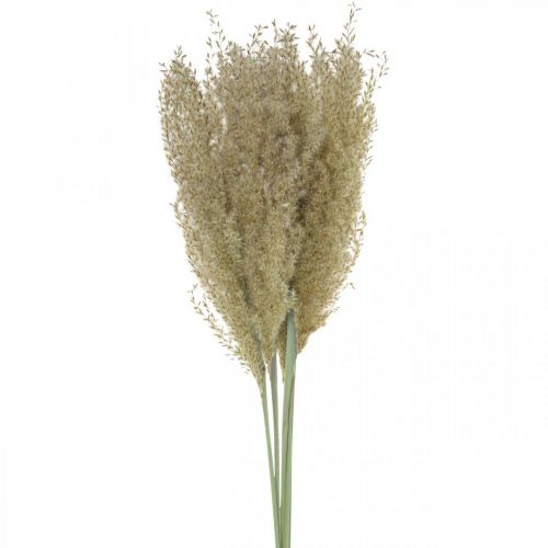Floristik24 Grama seca ornamental para decoração florística seca natureza H55cm