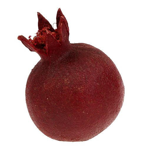 Floristik24 Romãs 250g