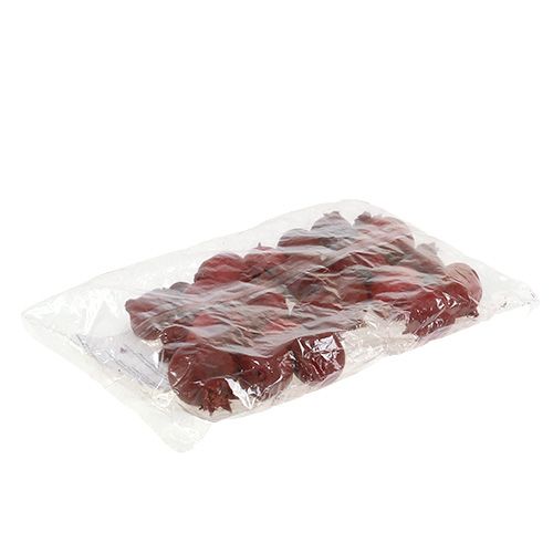 Floristik24 Romãs 250g