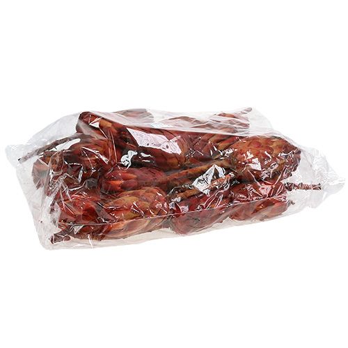 Itens Grandiceps vermelho 25 unidades
