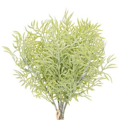 Floristik24 Ramo ornamental de aspargo, complemento natural para arranjos florais, 34 cm, 7 peças