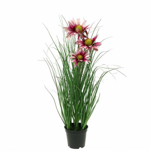 Floristik24 Grama artificial com Echinacea em um vaso rosa de 44 cm
