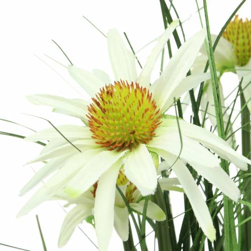 Floristik24 Grama artificial com Echinacea em um vaso branco de 52 cm