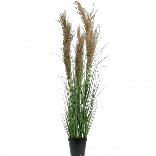Itens Junco artificial em vaso com flores secas verde, marrom 98cm