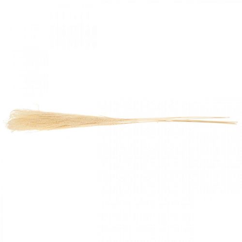 Floristik24 Grama decorativa seca grama ornamental natural decoração seca 6 hastes