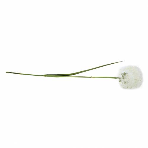 Floristik24 Dente-de-leão decorativo 100cm