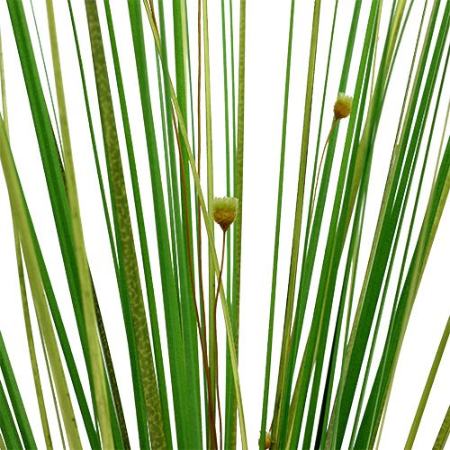 Floristik24 Ramo de grama com flores 58 cm verde 6 unidades