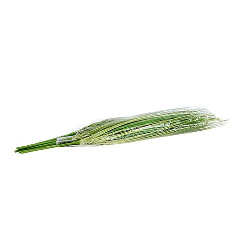 Floristik24 Ramo de grama com flores 58 cm verde 6 unidades