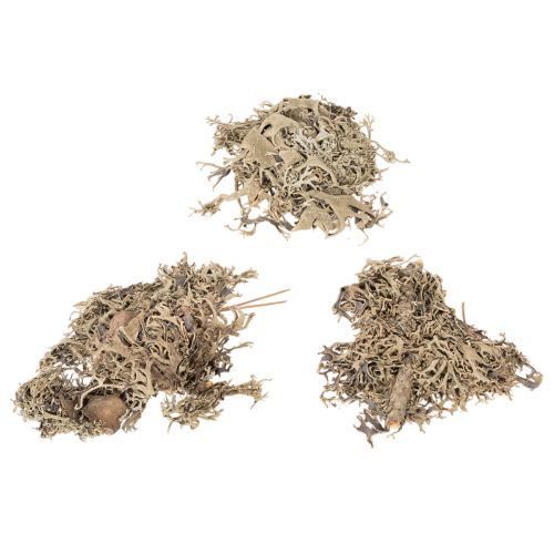 Musgo decorativo, musgo cinza para artesanato, 500g | Floristik24.pt