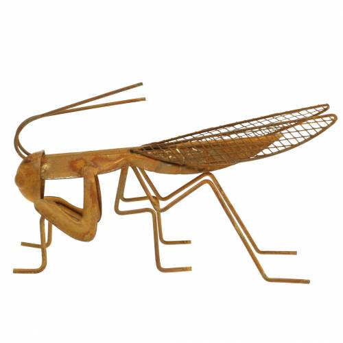 Floristik24 Grade de decoração de jardim aço inoxidável metal 14,5 cm