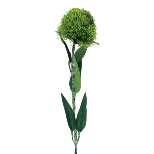 Floristik24 Flor artificial de cravo barbudo verde como do jardim 54cm
