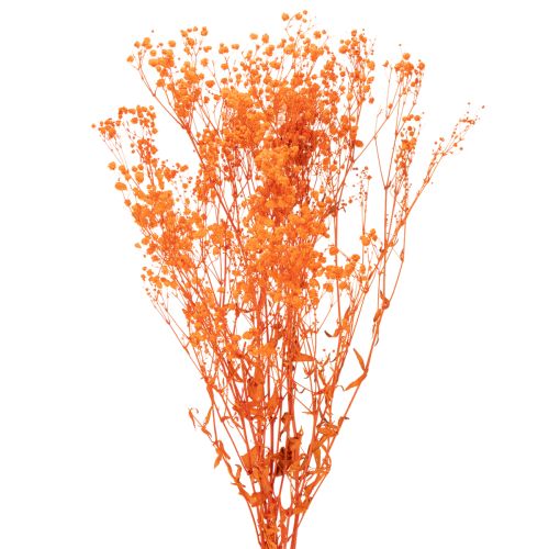 Buquê de flores secas de Gypsophila (mosquitinho) 75cm 100g