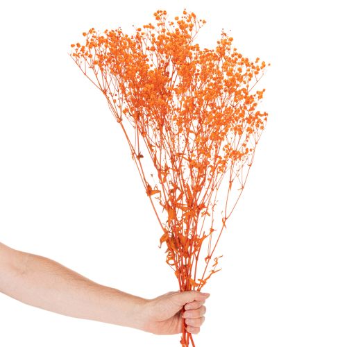 Buquê de flores secas de Gypsophila (mosquitinho) 75cm 100g | Floristik24.pt
