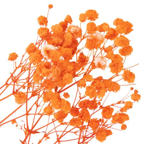 Buquê de flores secas de Gypsophila (mosquitinho) 75cm 100g | Floristik24.pt