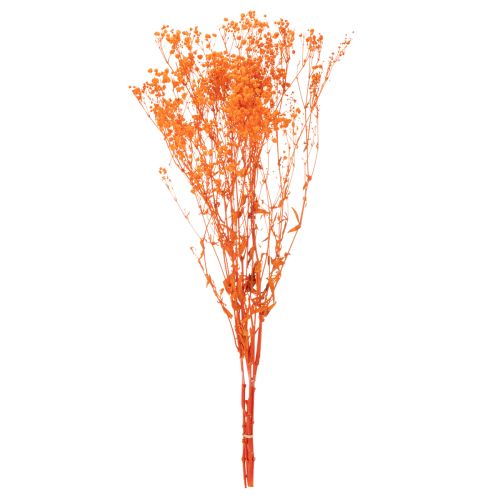Buquê de flores secas de Gypsophila (mosquitinho) 75cm 100g | Floristik24.pt