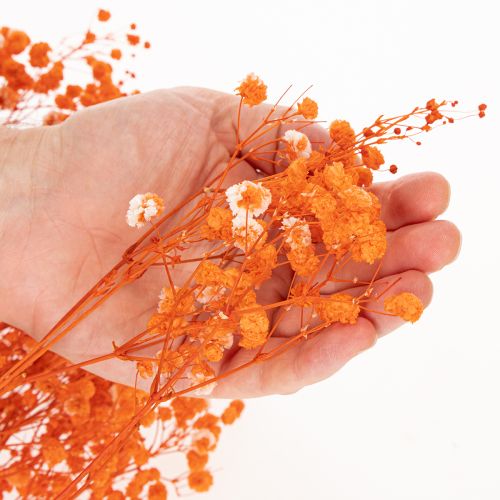 Buquê de flores secas de Gypsophila (mosquitinho) 75cm 100g | Floristik24.pt