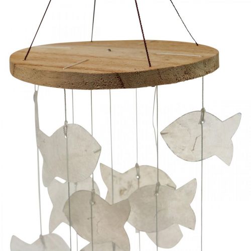 Itens Pendurar conchinhas decorativas Capiz carrilhão de vento jardim Ø12cm L49cm