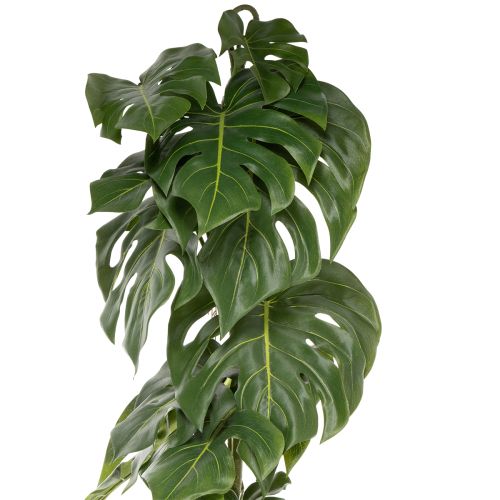 Monstera artificial com folhagem exuberante para um toque de estilo na sala de estar. 120 cm