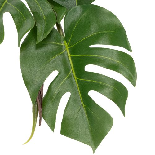 Itens Monstera artificial com folhagem exuberante para um toque de estilo na sala de estar. 120 cm