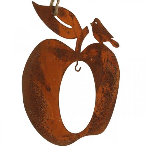 Floristik24 Cabide decorativo de metal maçã pêra pátina decoração 23/24cm 2uds