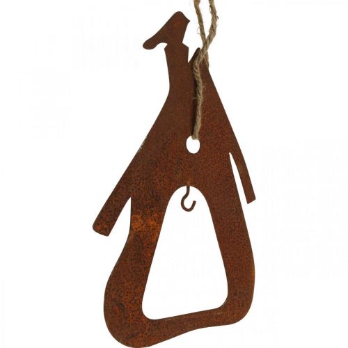 Floristik24 Cabide decorativo de metal maçã pêra pátina decoração 23/24cm 2uds