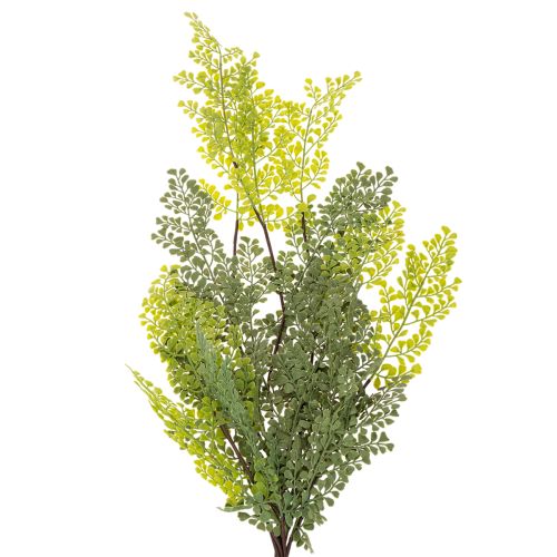 Ramo de samambaia artificial, delicado, para vaso, 80 cm | Floristik24.pt