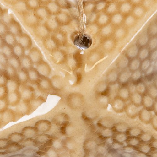 Itens Estrela-do-mar decorativa de cerâmica para pendurar, com um toque marítimo, decoração de verão para a casa, 12 cm, 2 peças