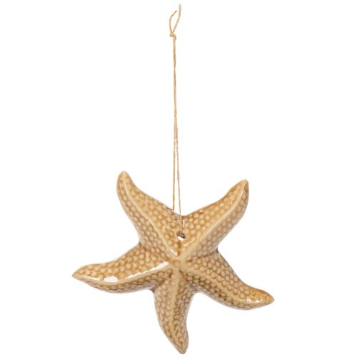 Itens Estrela-do-mar decorativa de cerâmica para pendurar, com um toque marítimo, decoração de verão para a casa, 12 cm, 2 peças