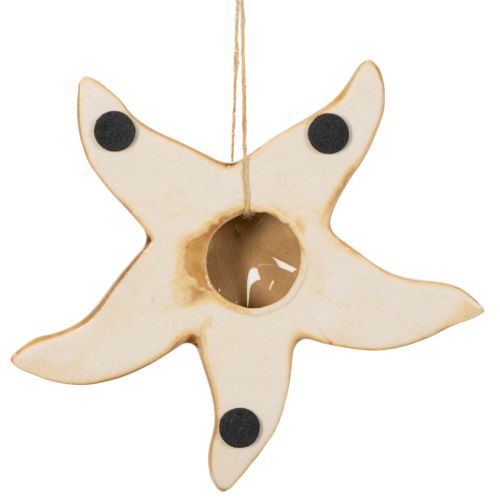 Itens Estrela-do-mar decorativa de cerâmica para pendurar, com um toque marítimo, decoração de verão para a casa, 12 cm, 2 peças