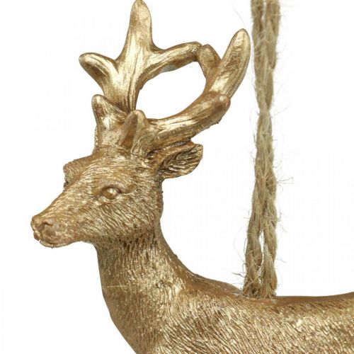 Floristik24 Pingente de Natal rena deco veado ouro 9,5 cm 4 unidades