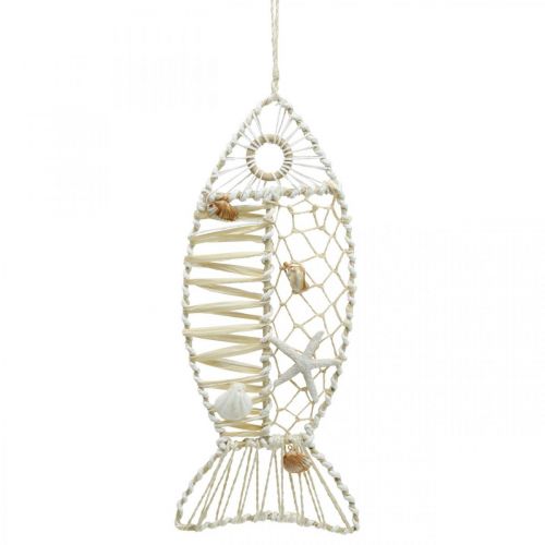 Floristik24 Peixe decorativo com decoração de concha, decoração marítima, peixe para pendurar branco 38cm