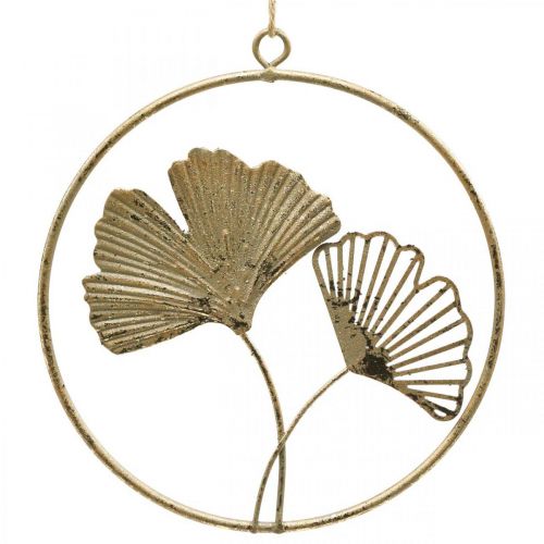 Floristik24 Gancho de ouro ginkgo deco decoração de metal vintage Ø16cm 3 peças