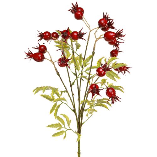 Ramos decorativos artificiais de rosa mosqueta com 7 frutos vermelho escuro 48cm