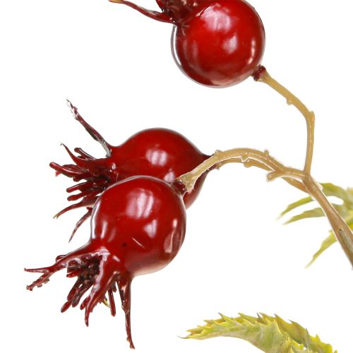 Floristik24 Ramos decorativos artificiais de rosa mosqueta com 7 frutos vermelho escuro 48cm