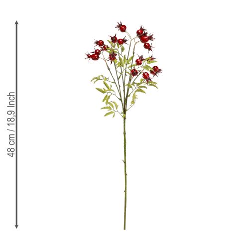 Floristik24 Ramos decorativos artificiais de rosa mosqueta com 7 frutos vermelho escuro 48cm