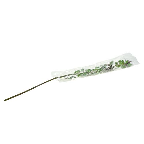 Floristik24 Ramo de cinorrodo 92cm com neve