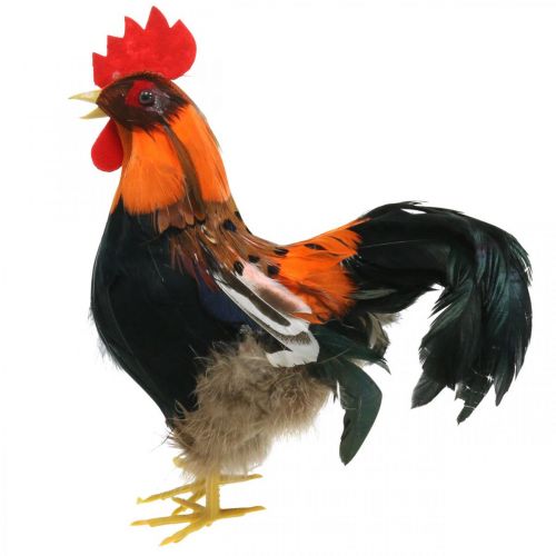 Floristik24 Galo decorativo com penas Figura decorativa laranja Páscoa decoração primavera 24cm