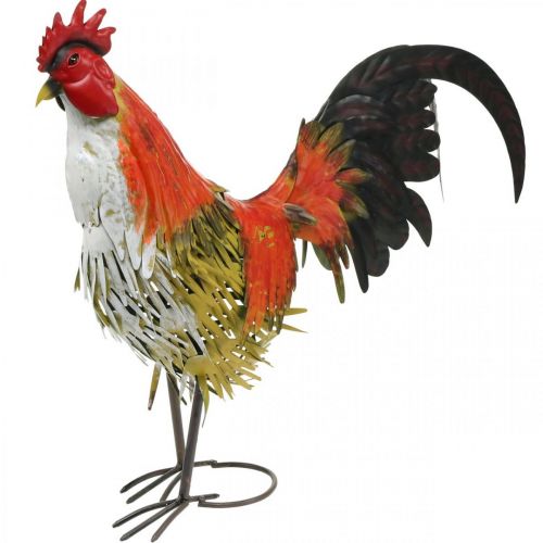 Floristik24 Galo decorativo metal colorido decoração de jardim figura decoração de metal 58×13×50cm