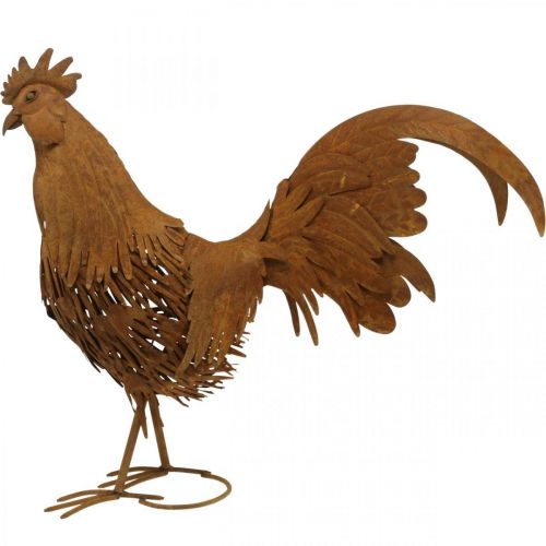 Floristik24 Galo enferrujado decoração de jardim pátina decoração figura de metal 58×13×50cm