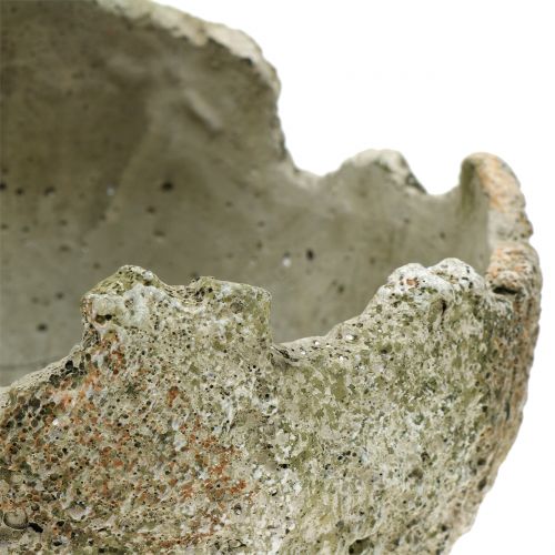 Floristik24 Bola de concreto para plantio Ø17cm H17.5cm