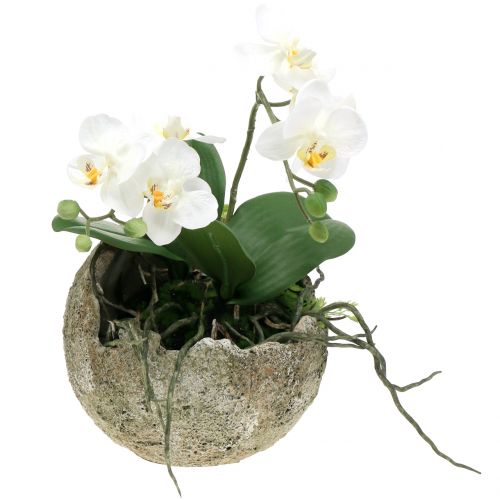 Floristik24 Bola de concreto para plantio Ø17cm H17.5cm