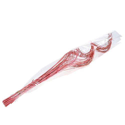 Floristik24 Salgueiro Meio Encaracolado 100cm Rosa 30 un