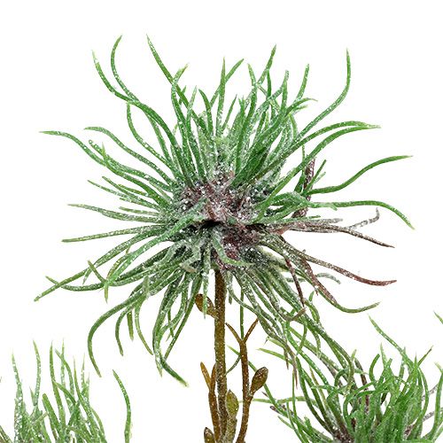 Floristik24 Ramo de hamamélis 44cm verde, prata 1p