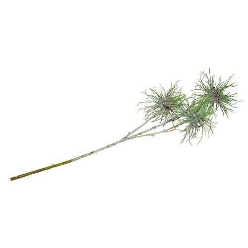 Floristik24 Ramo de hamamélis 44cm verde, prata 1p