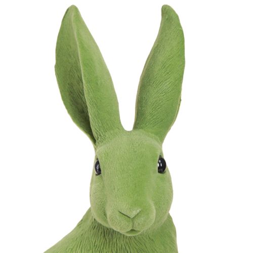 Floristik24 Coelhinho Verde Sentado Decoração de Coelhinho da Páscoa Flocado 16×13×35cm