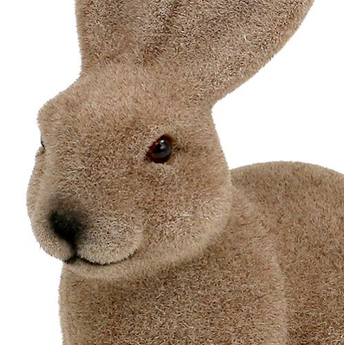 Floristik24 Coelho flocado marrom 15,5 cm 4 unidades