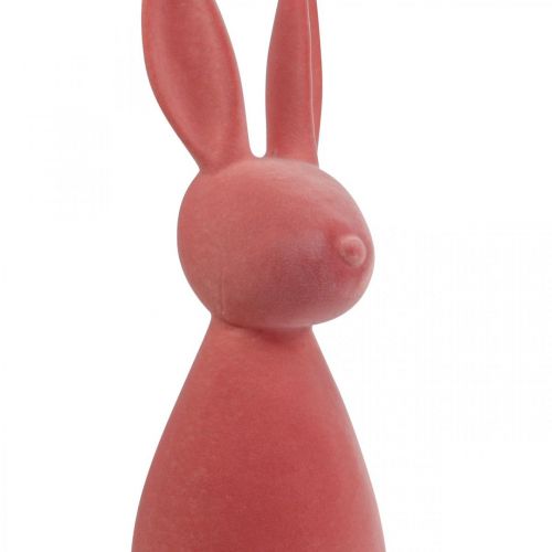 Floristik24 Deco Bunny Deco Coelhinho da Páscoa Flocado Laranja Damasco Alt. 69cm