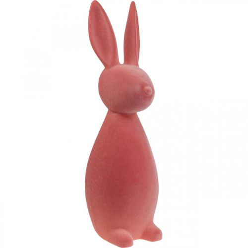 Floristik24 Deco Bunny Deco Coelhinho da Páscoa Flocado Laranja Damasco Alt. 69cm