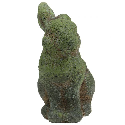Floristik24 Estatueta de jardim coelhinho musgoso 20cm x 13cm Alt.25cm