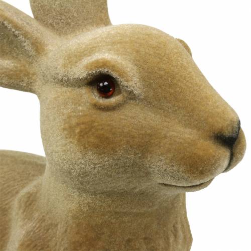 Floristik24 Decoração de Páscoa coelhinho flocado castanho H50cm